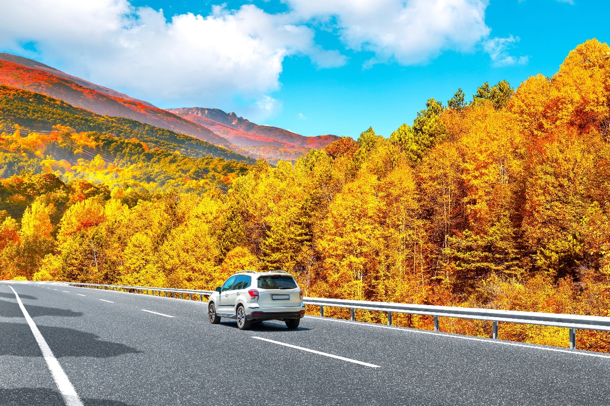 carretera
