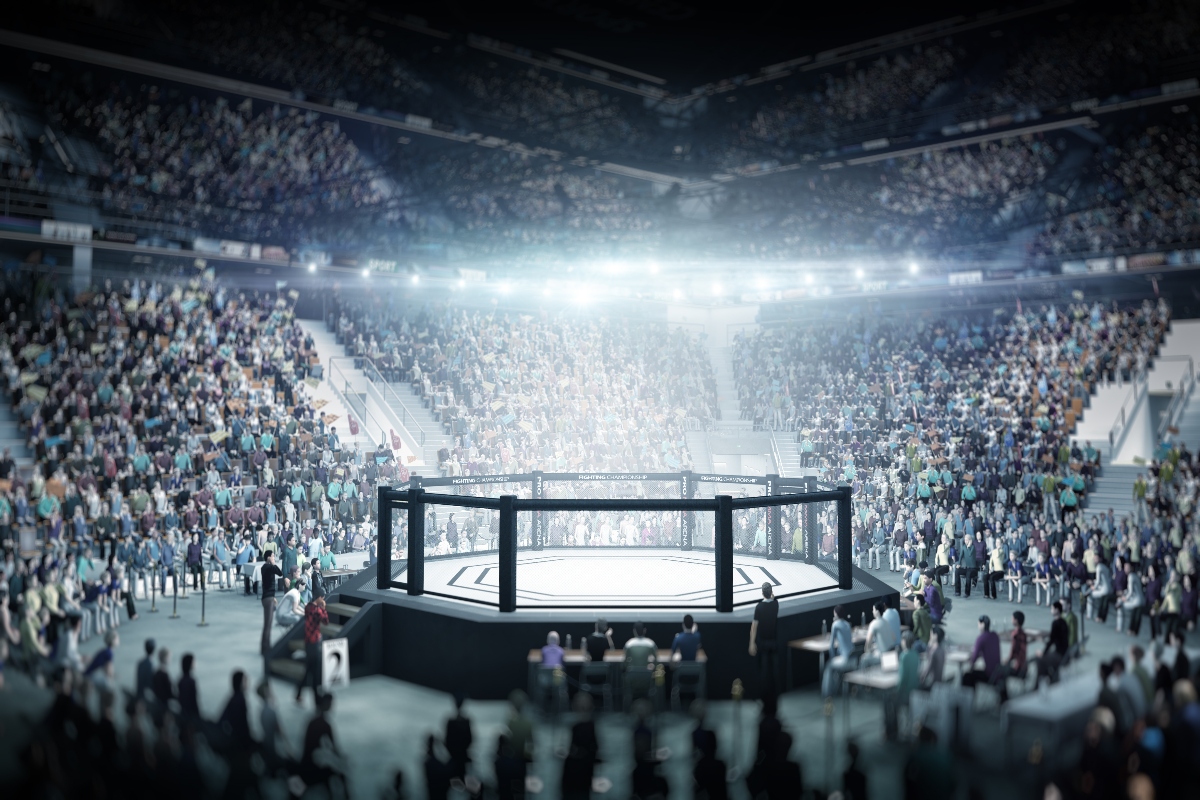 Artes Marciales Mixtas