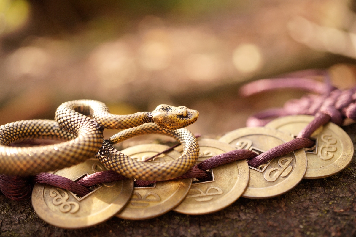 Predicciones para latinos: Los secretos ocultos del horóscopo chino para el Año de la Serpiente