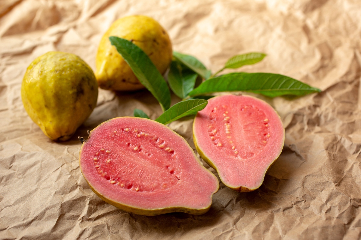 guayaba, semilla, nutrición