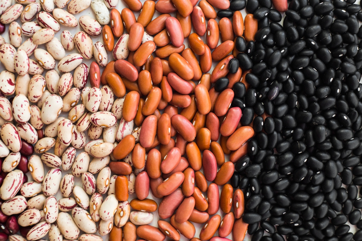 ¿Son saludables los frijoles? Desmitificando un clásico latino