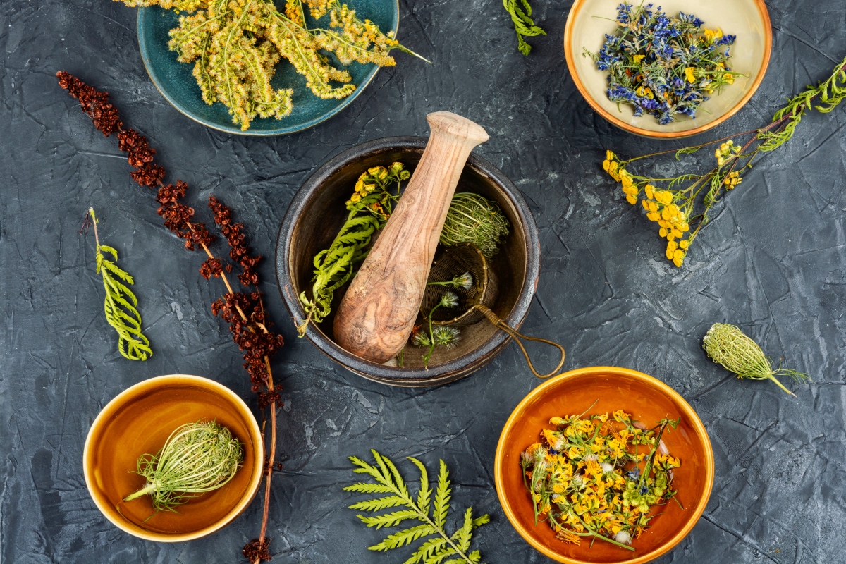 ¡Relajadito! 8 plantas medicinales para el estrés