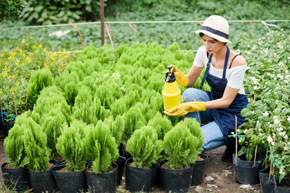 plantas resistentes al fuego, plantas contra incendios, plantas, incendios, QuéOnnda