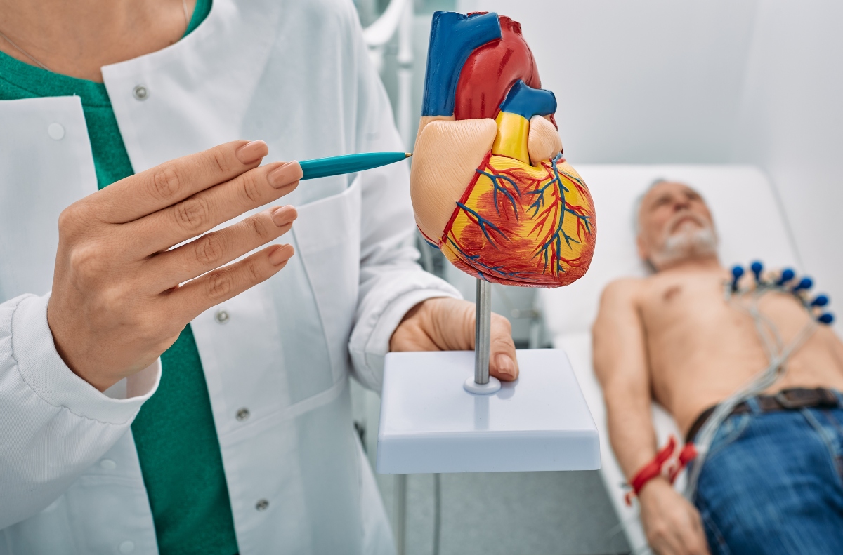 enfermedad, cardiovascular, salud
