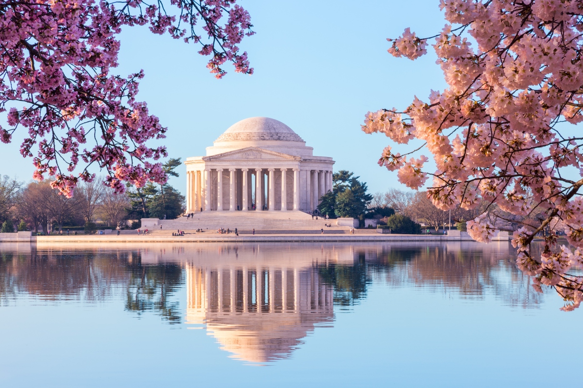 Temporada de cerezos: Eventos y actividades en Washington D.C.