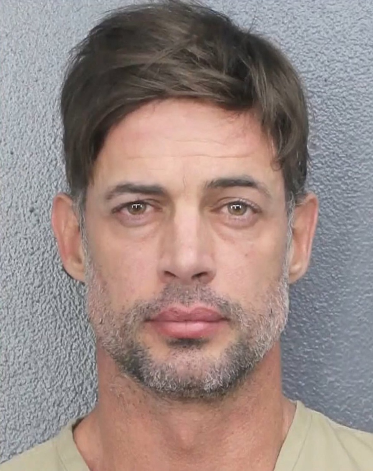 William Levy, arresto, detenido