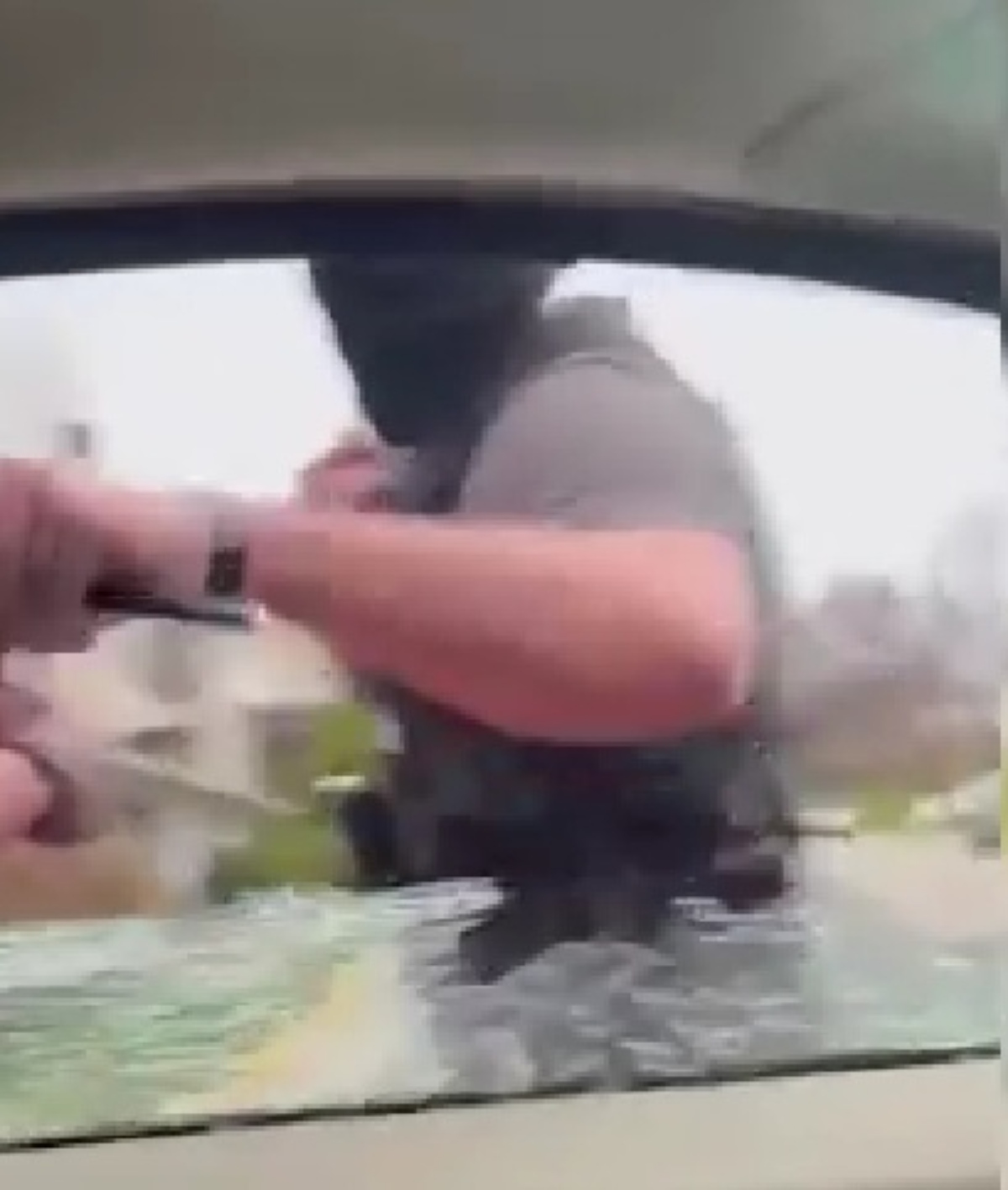 arresto ICE