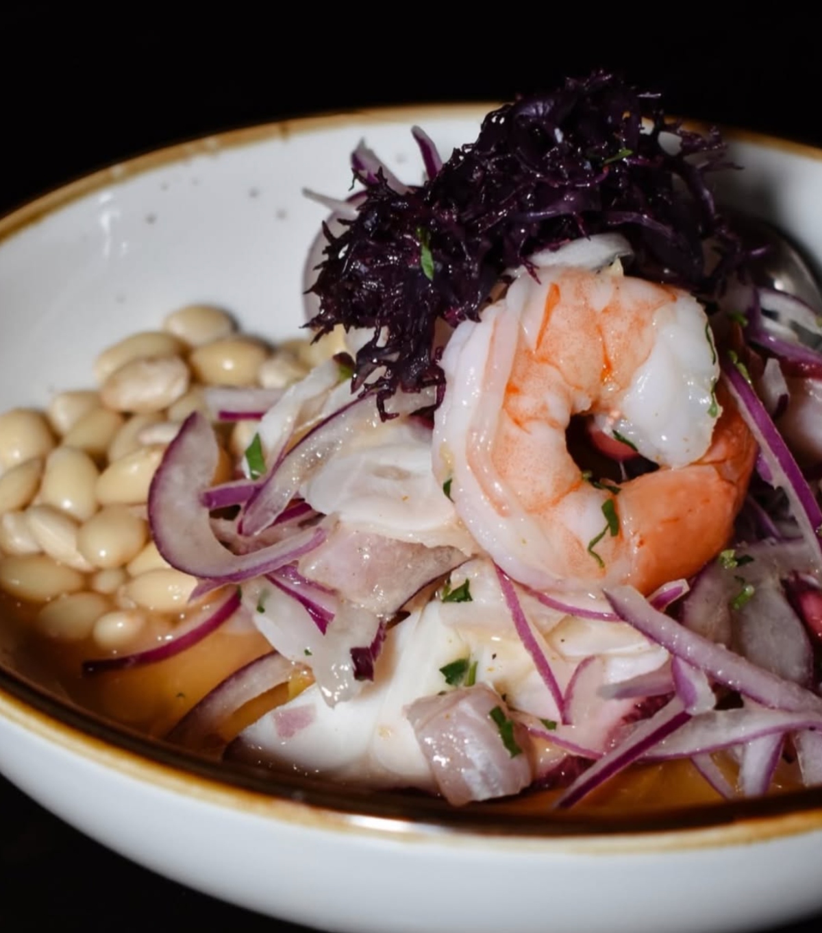 restaurantes latinos en Boston, Boston, Tambo 22, restaurantes, QuéOnnda