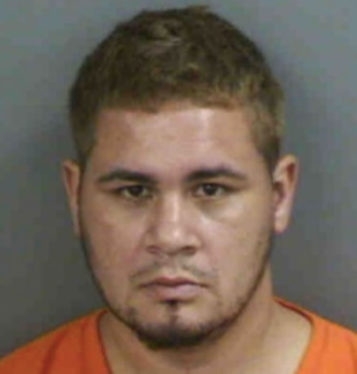 Hispano, latino, inmigración