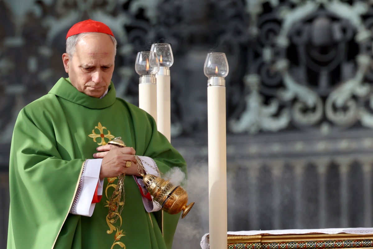 Papa León XIV, iglesia, política
