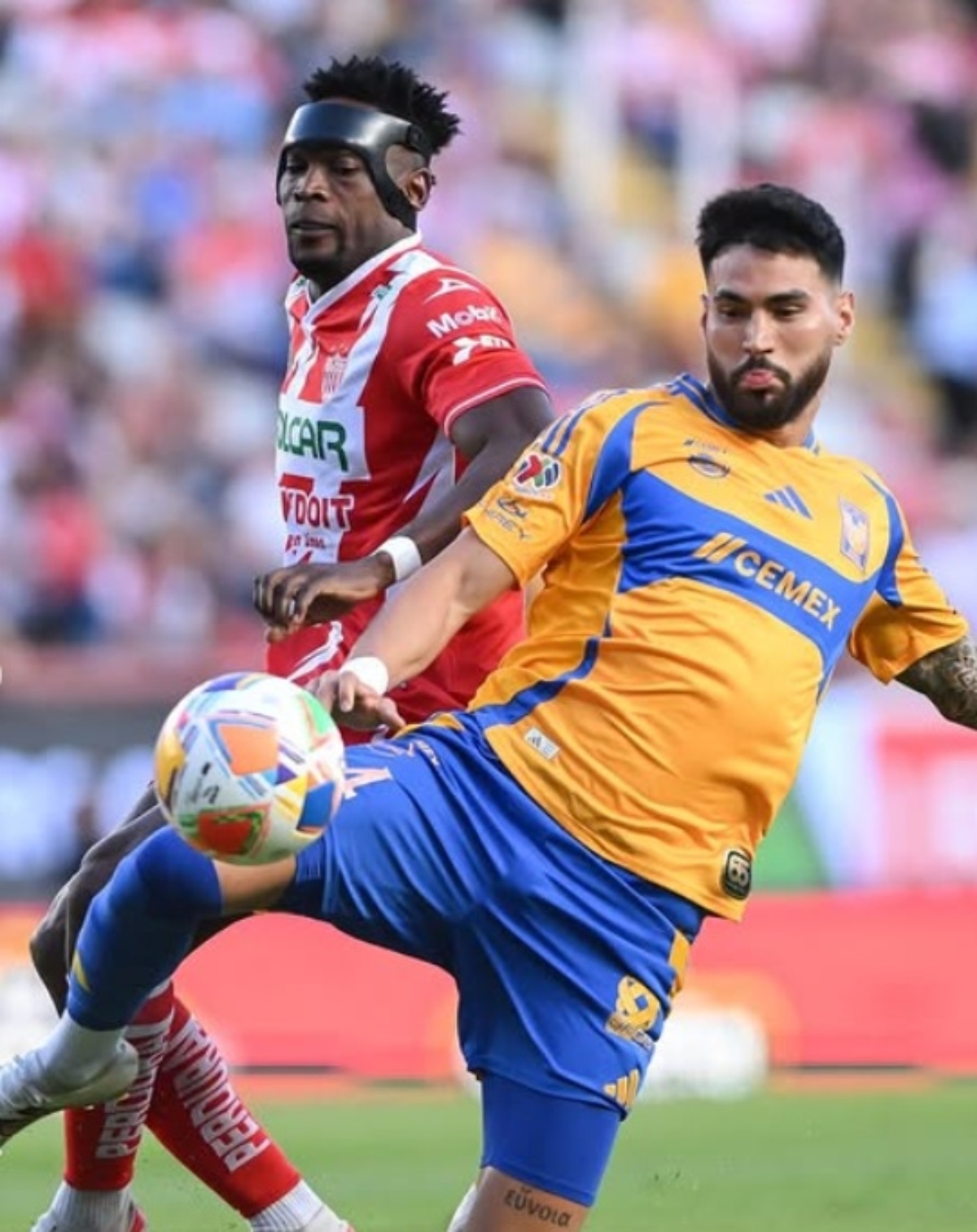 Liguilla Liga MX