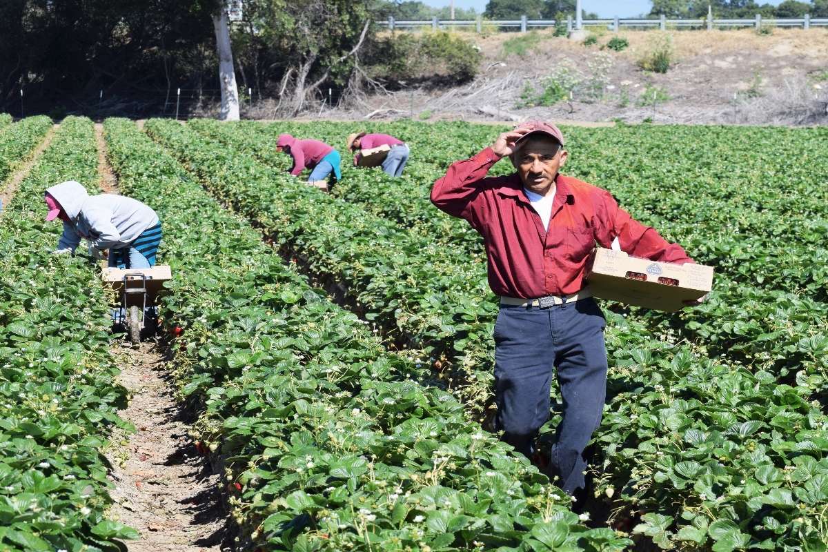 Migrantes indocumentados pagan más impuestos que los millonarios en EE.UU.