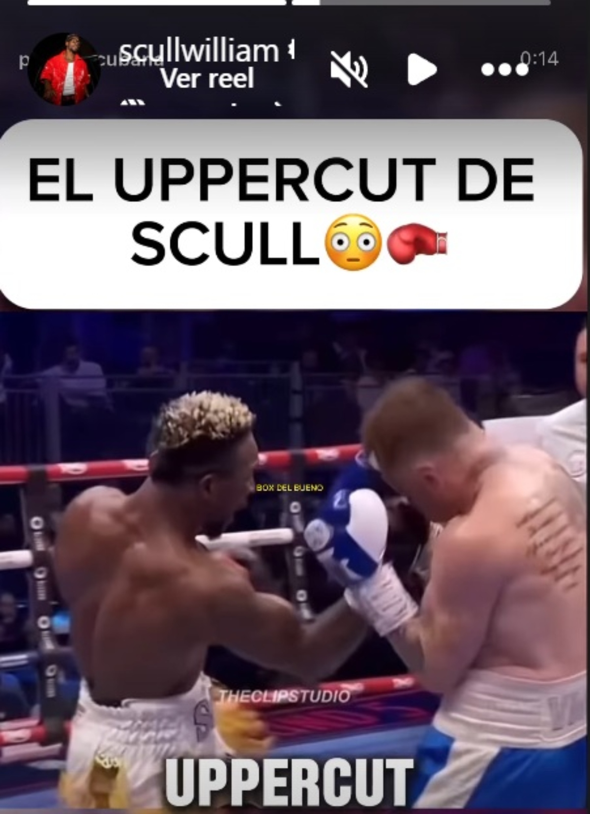 Canelo Álvarez William Scull
