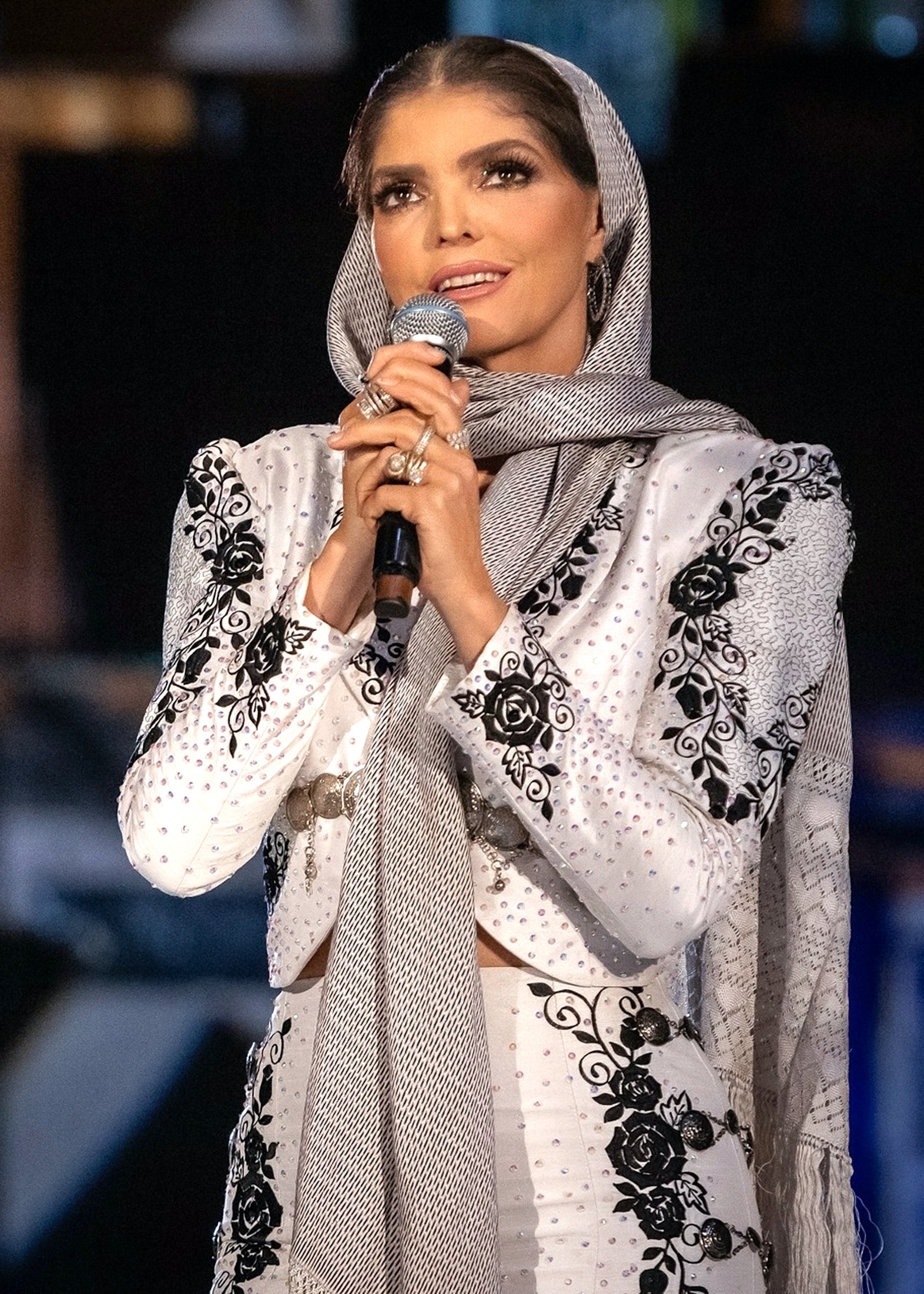 Ana Bárbara, música, televisión