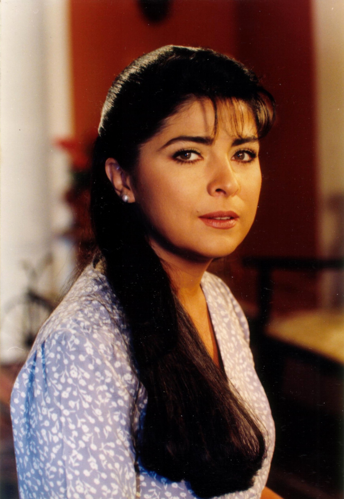 Victoria Ruffo, televisión, telenovelas