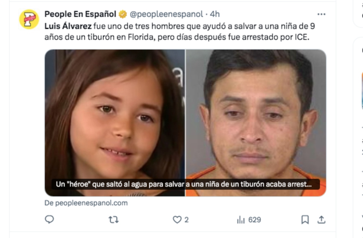tiburón, accidente, ICE