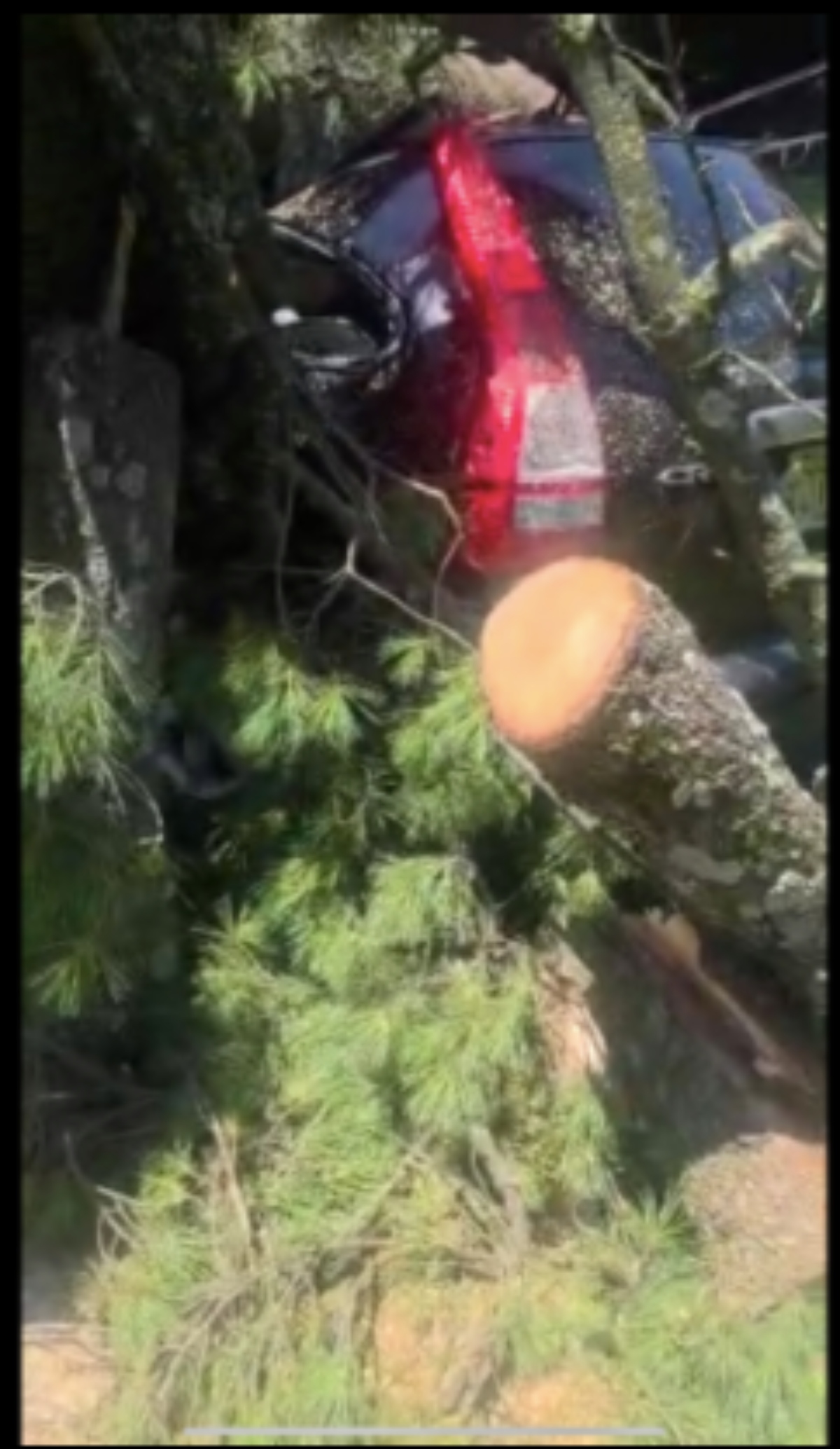 tragedia, accidente, salvadoreño