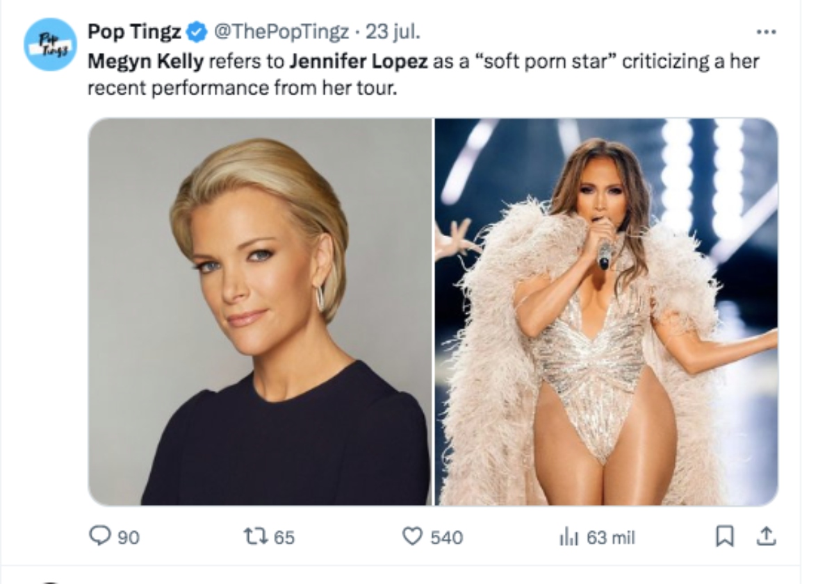 Megyn Kelly, criticas