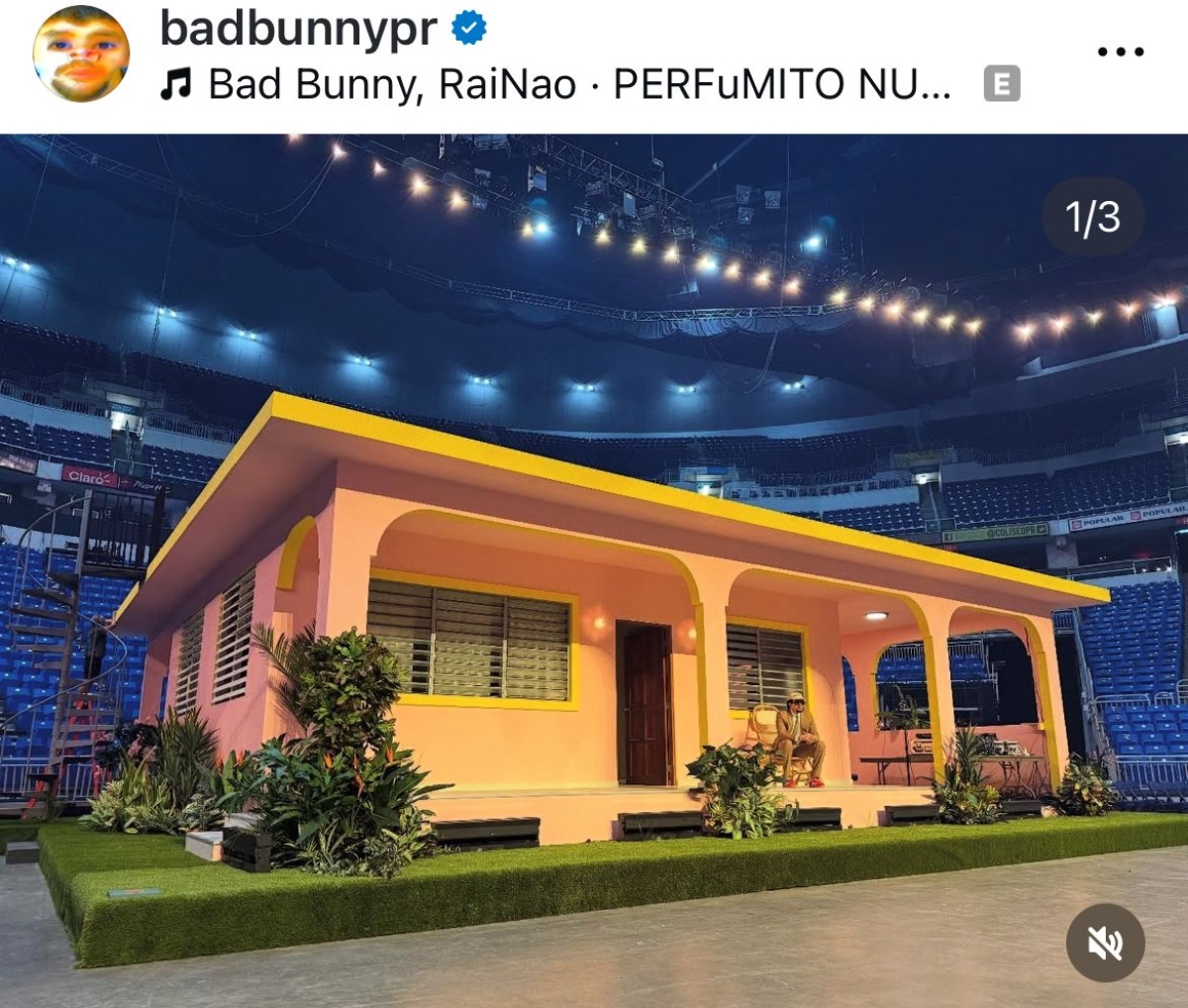 Bad Bunny, celebrities, entertainment