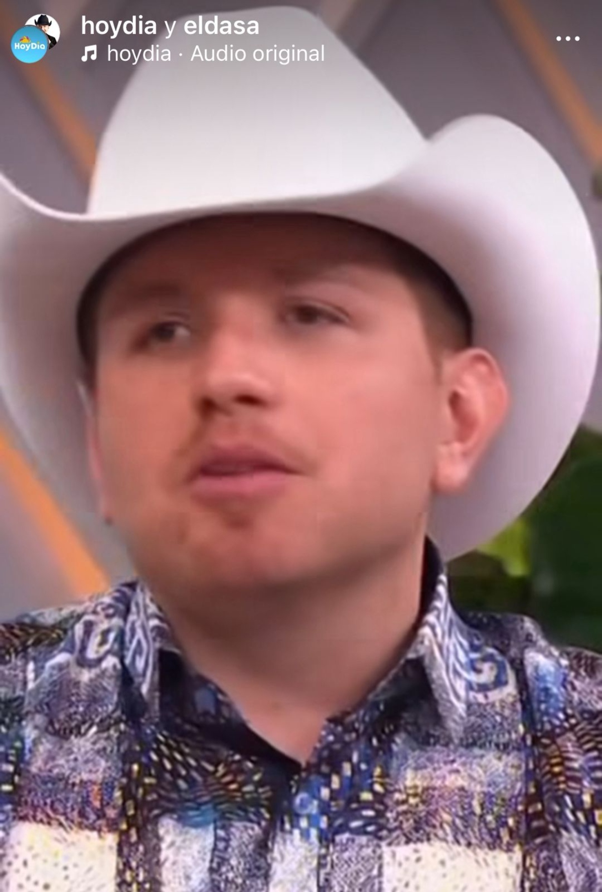 El Dasa, música, televisión