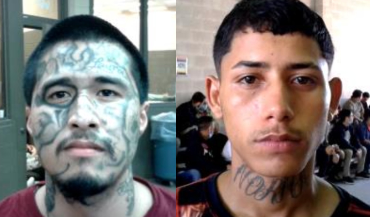 ICE arresta a más de 350 pandilleros en Houston en seis meses