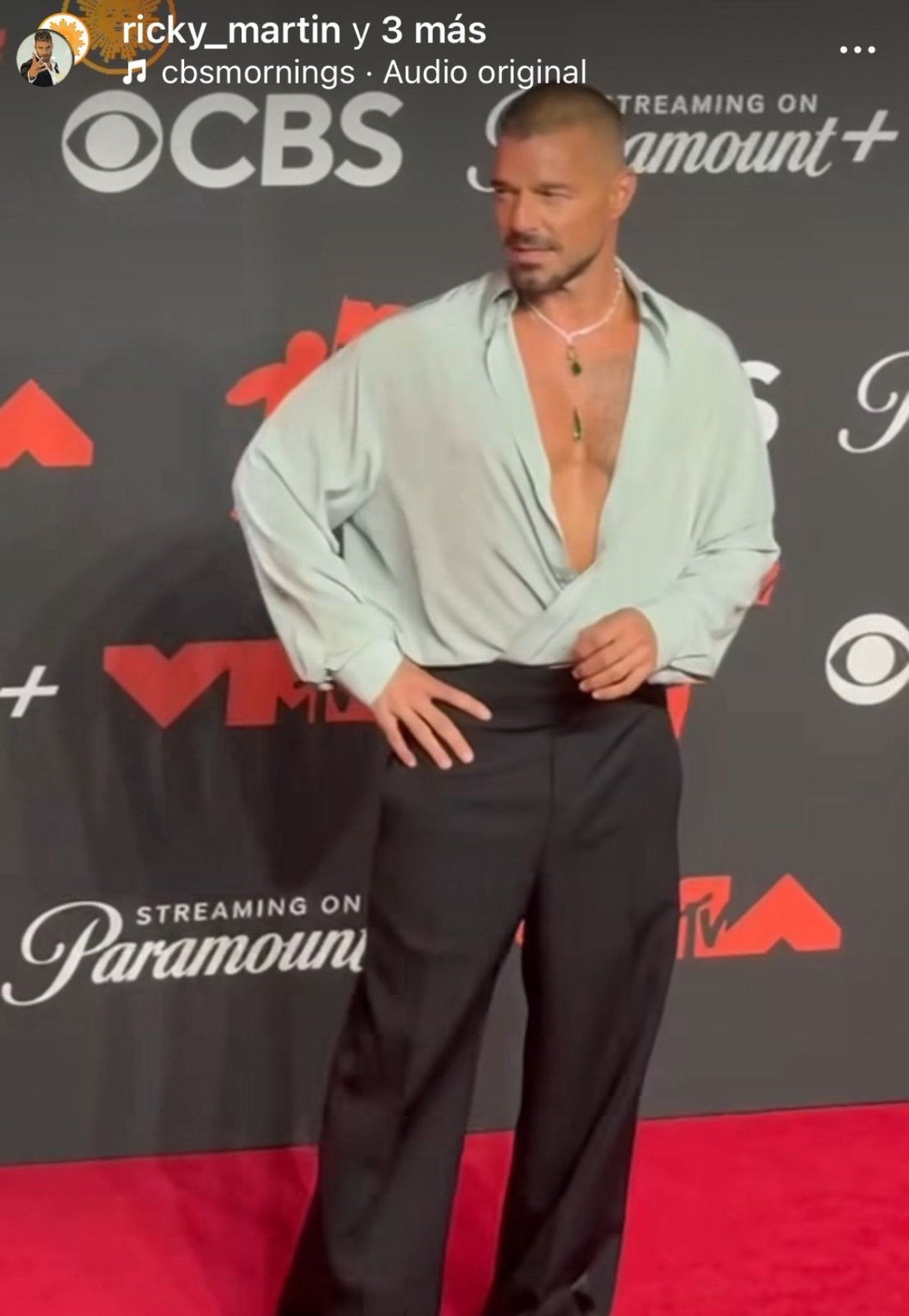 Ricky Martin, música, famosos