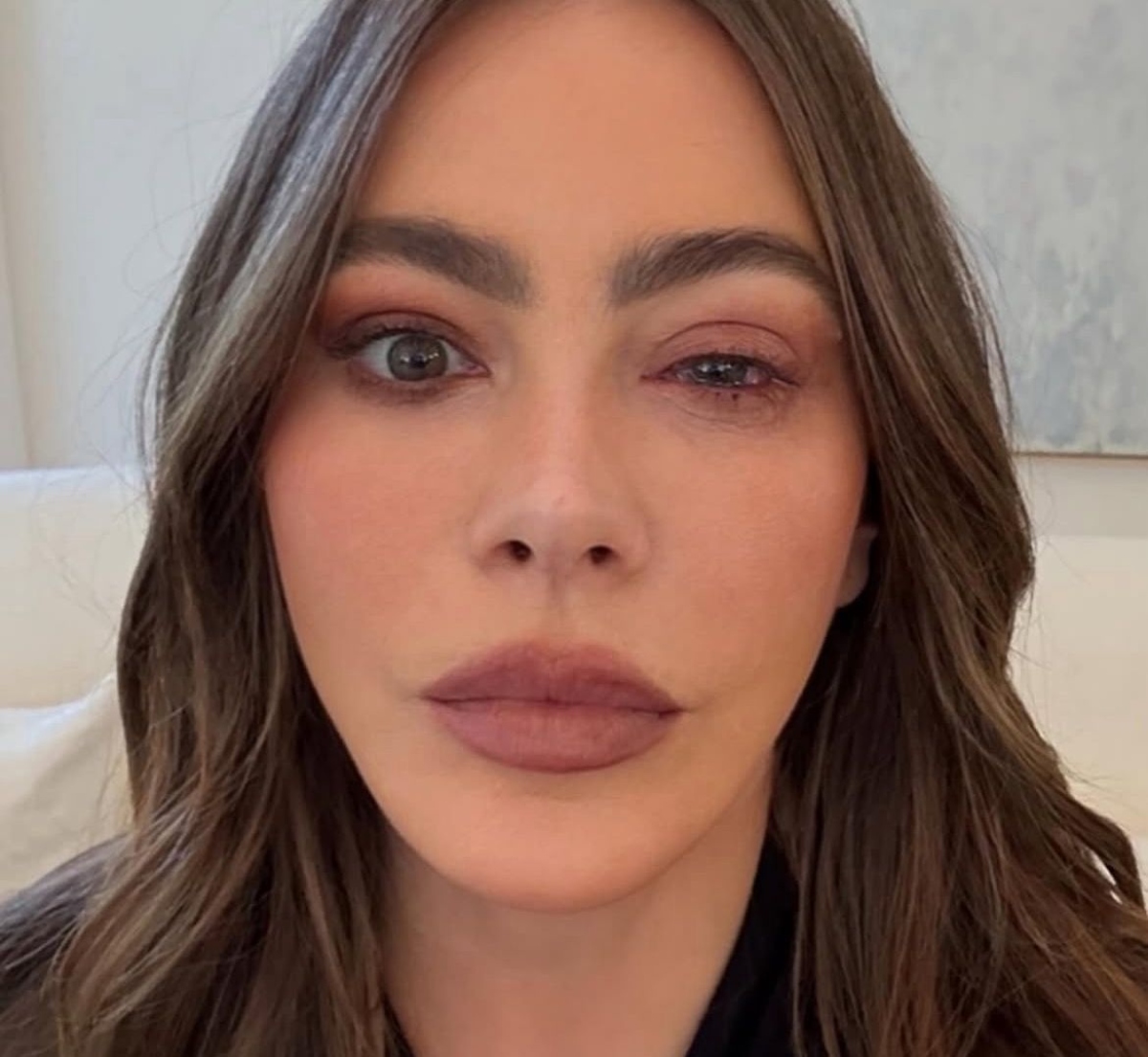 Sofía Vergara, famosos