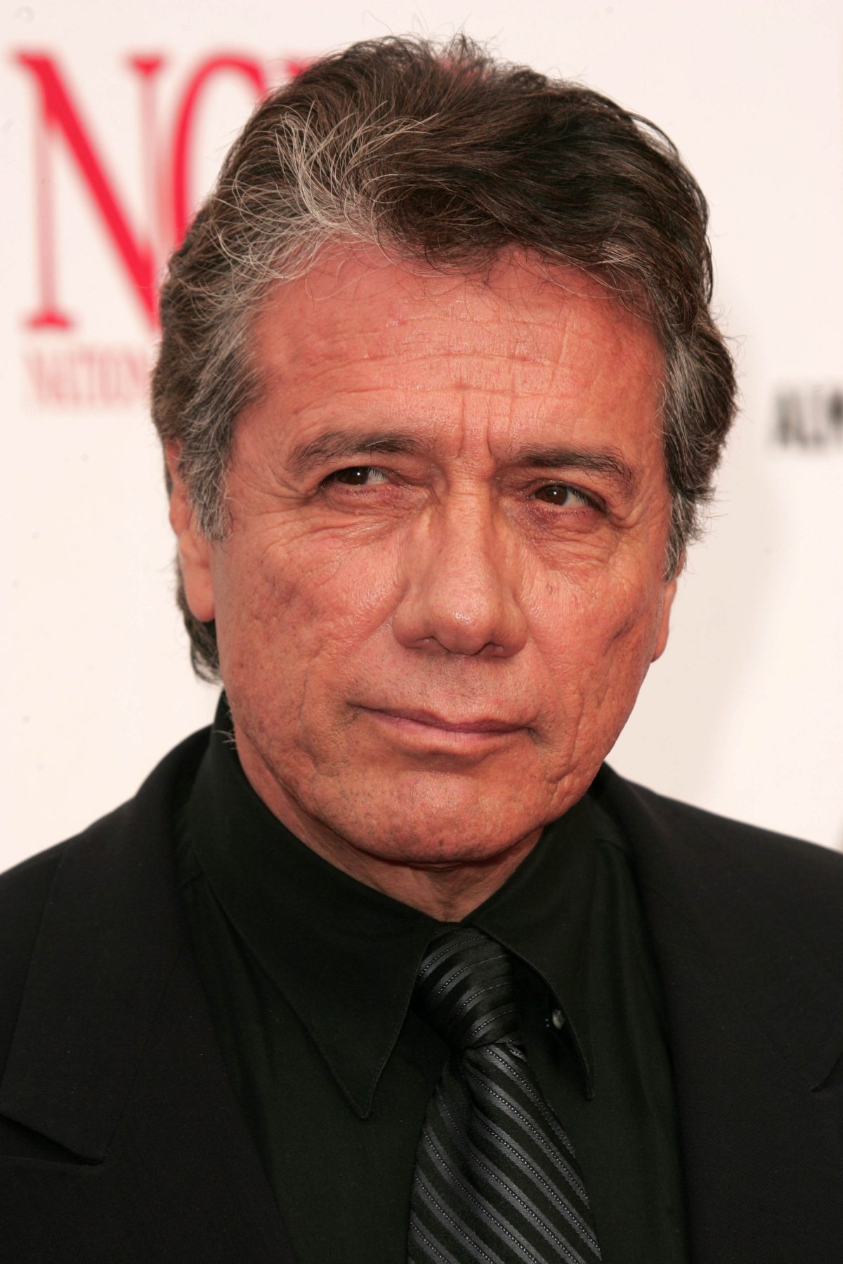 Edward James Olmos, televisión