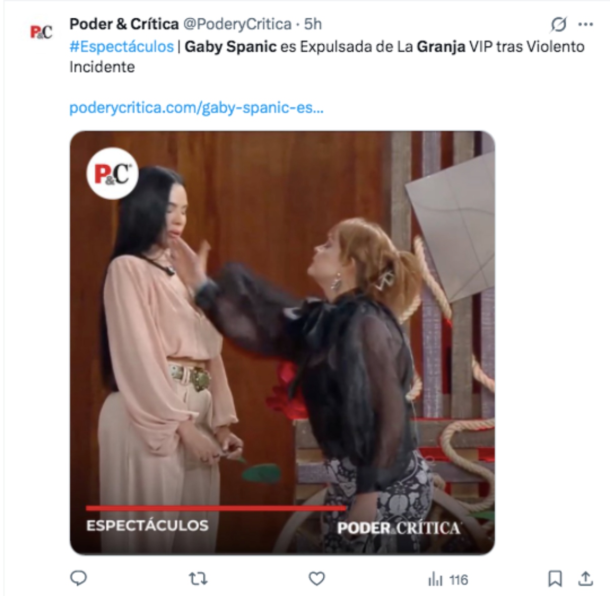 Gaby Spanic, televisión