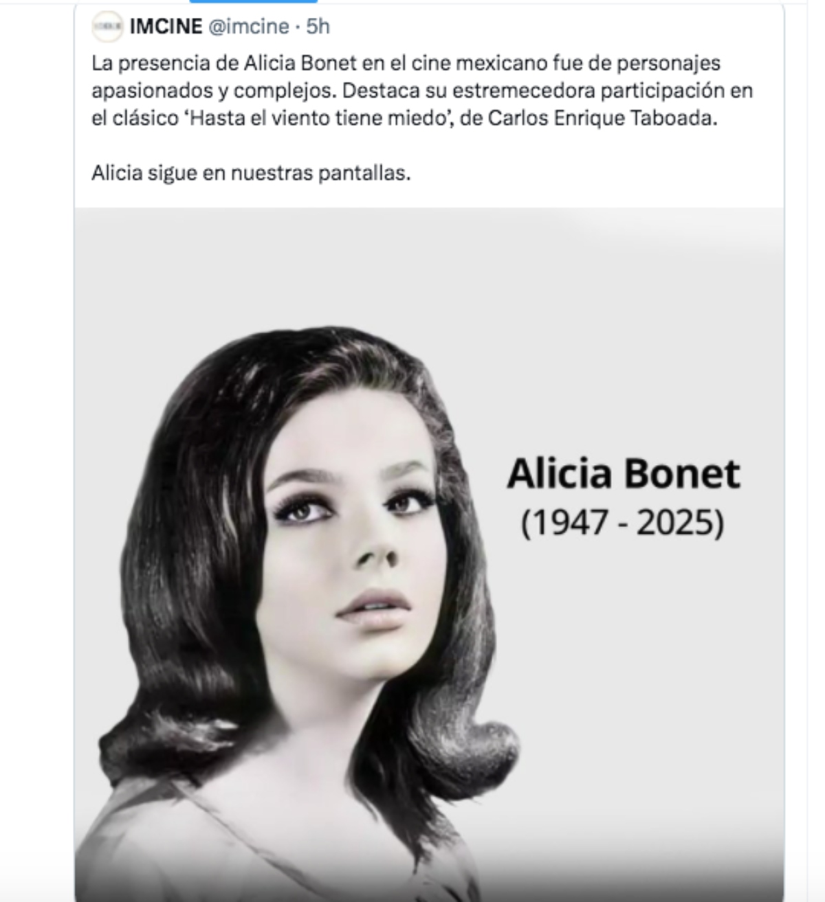 Alicia Bonet, cine