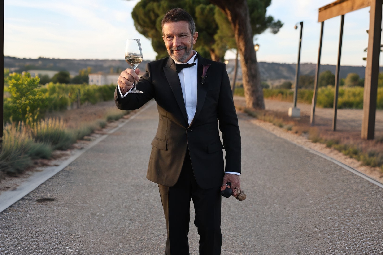 La hija de Antonio Banderas y Melanie Griffith celebra su boda en España