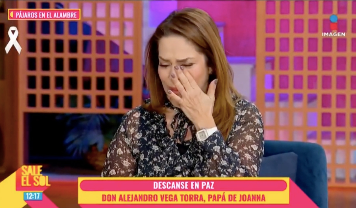 Joanna Vega Biestro, televisión