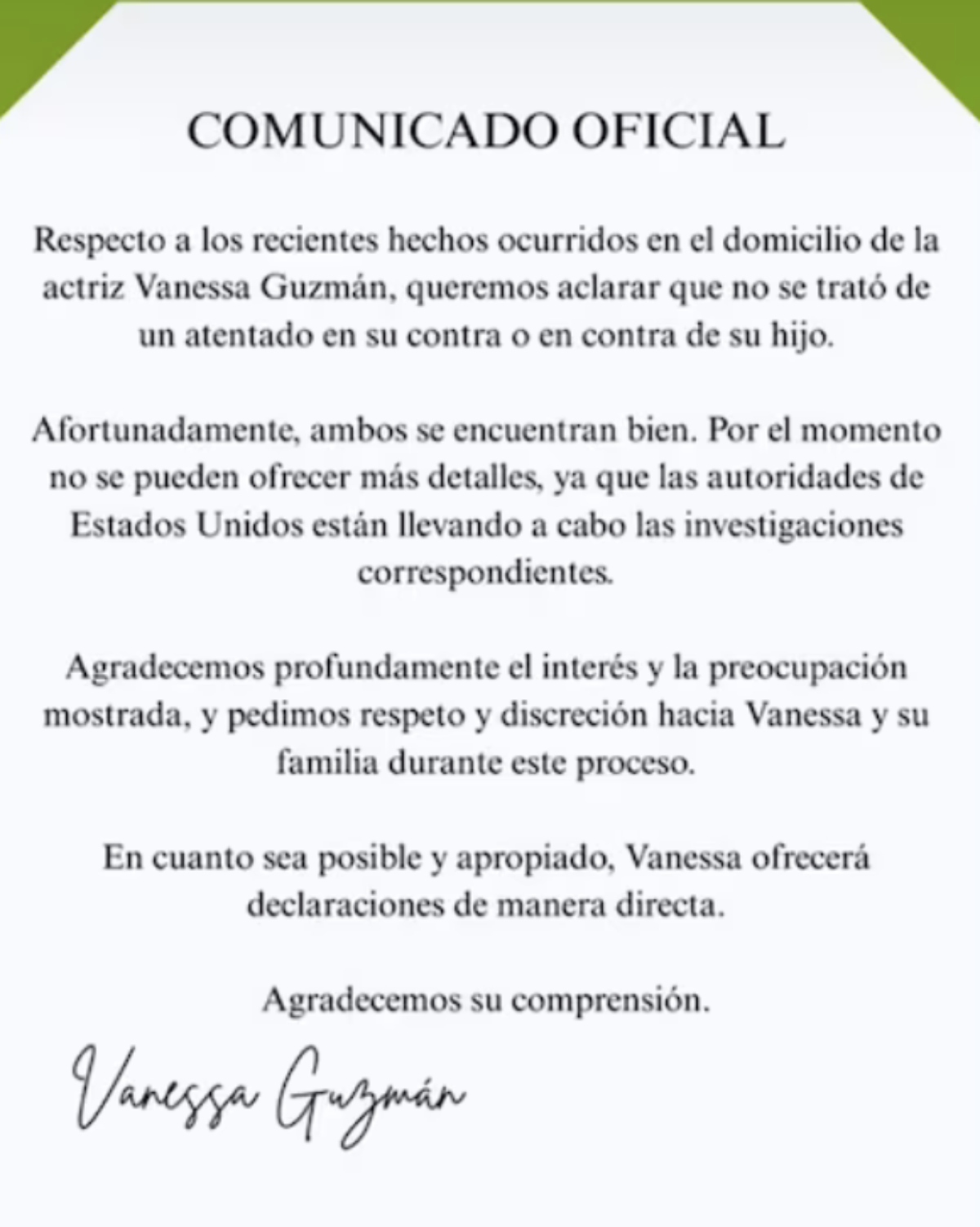 Vanessa Guzmán, televisión