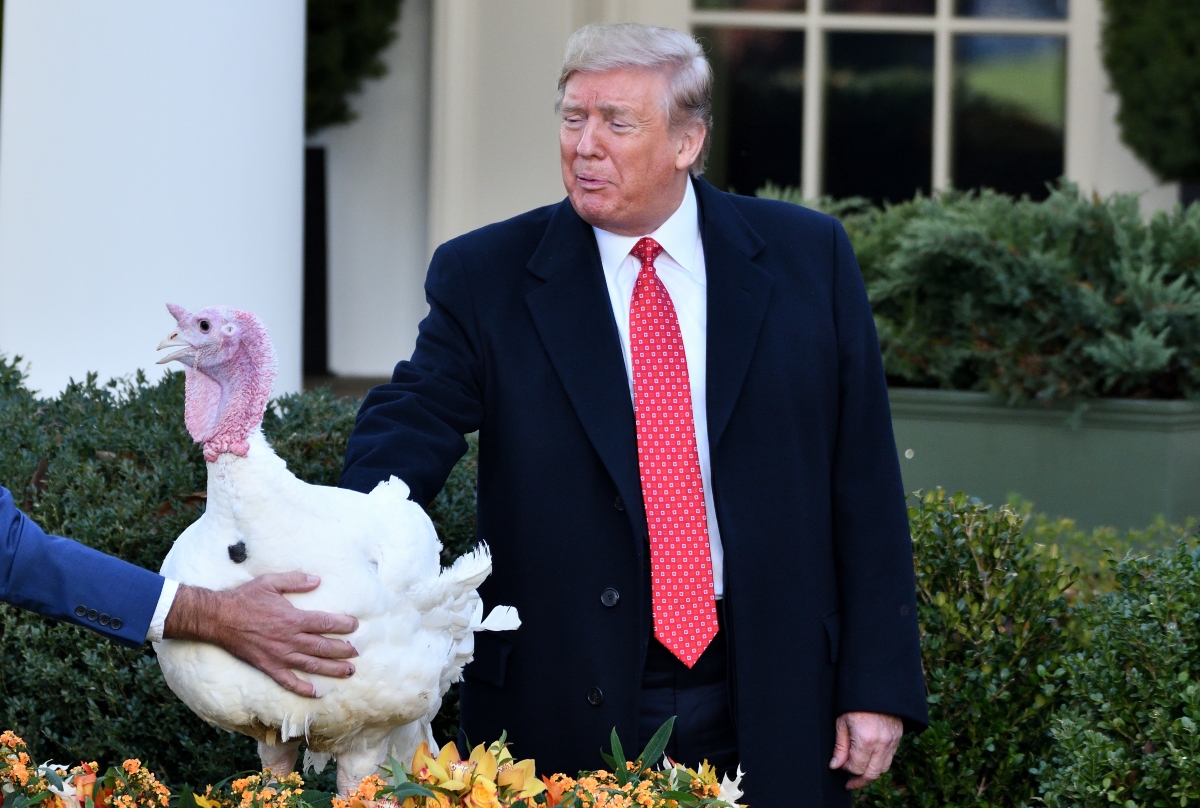 Donald Trump indulta a los pavos Gobble y Waddle para este Thanksgiving