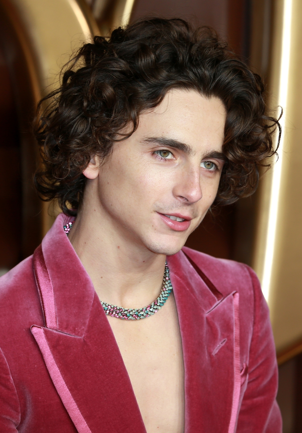 Timothée Chalamet, Steven Spielberg