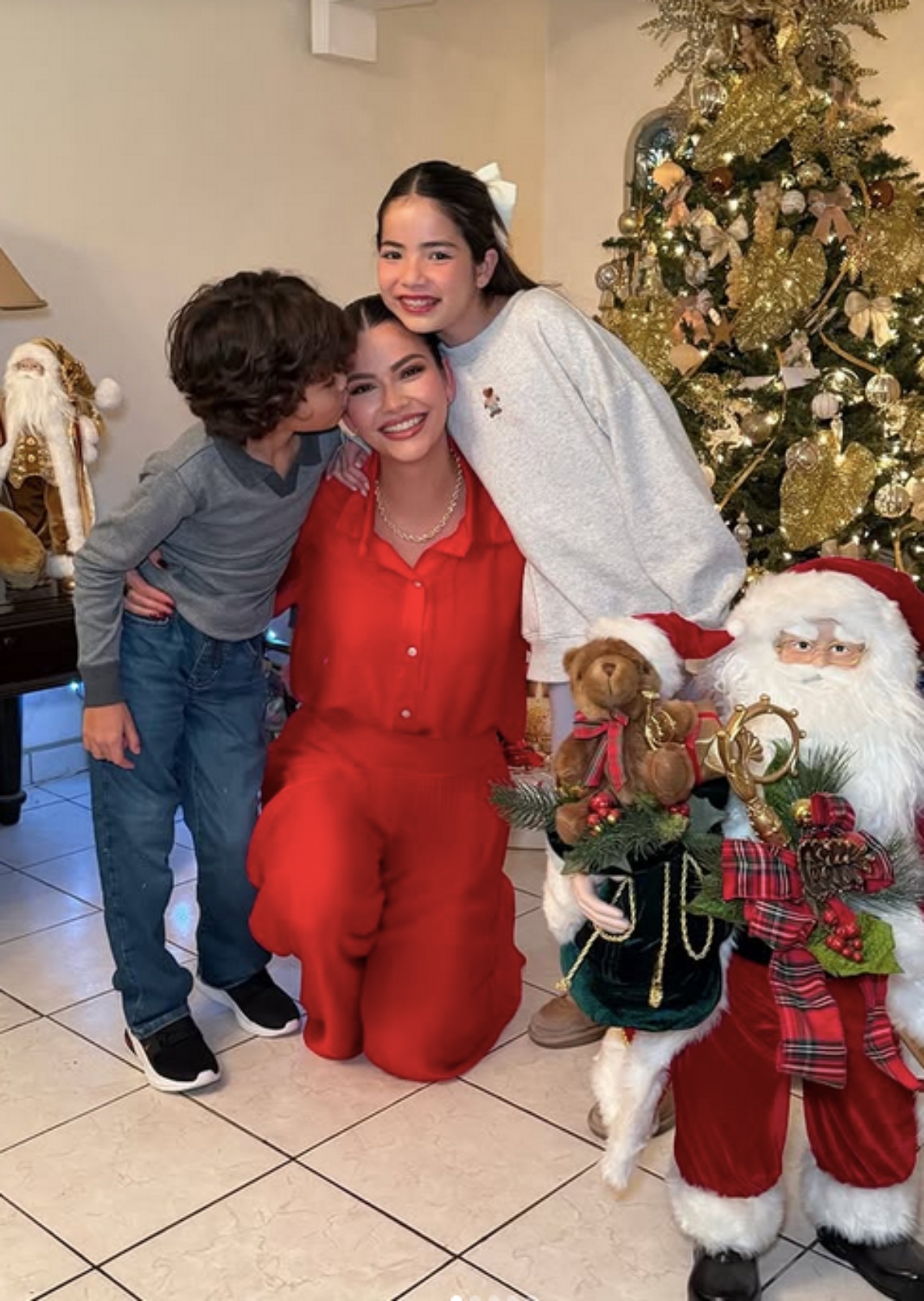 Ana Patricia Gámez, televisión