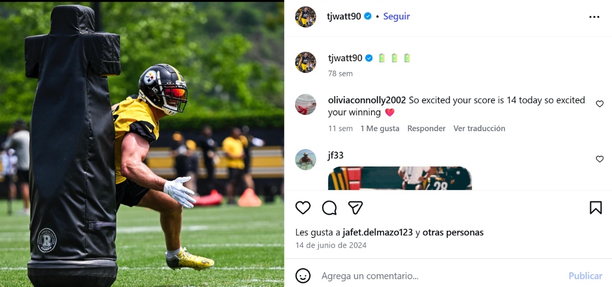 TJ Watt