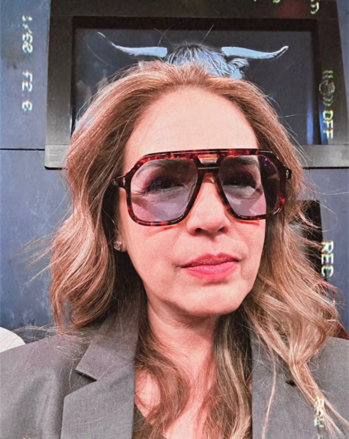 Yolanda Andrade, famosos