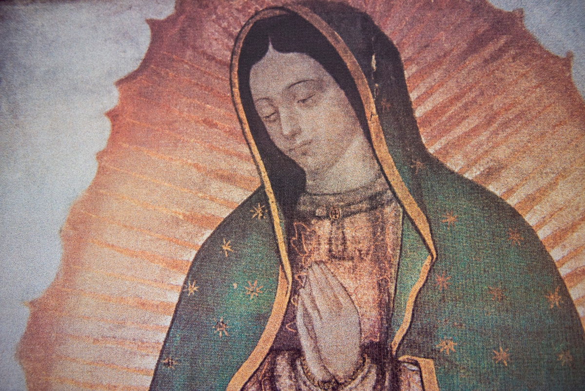 La tilma que nunca debió sobrevivir