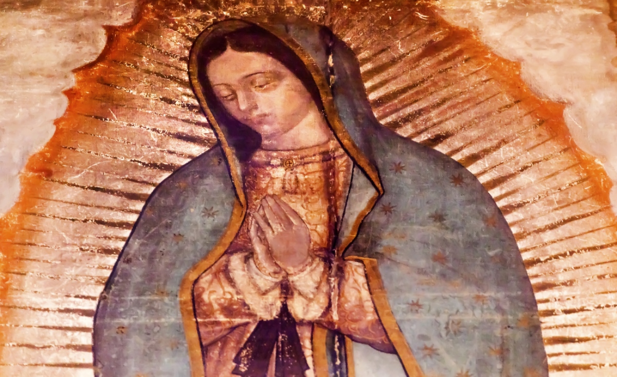 La verdad sobre los pigmentos de la tilma de Juan Diego