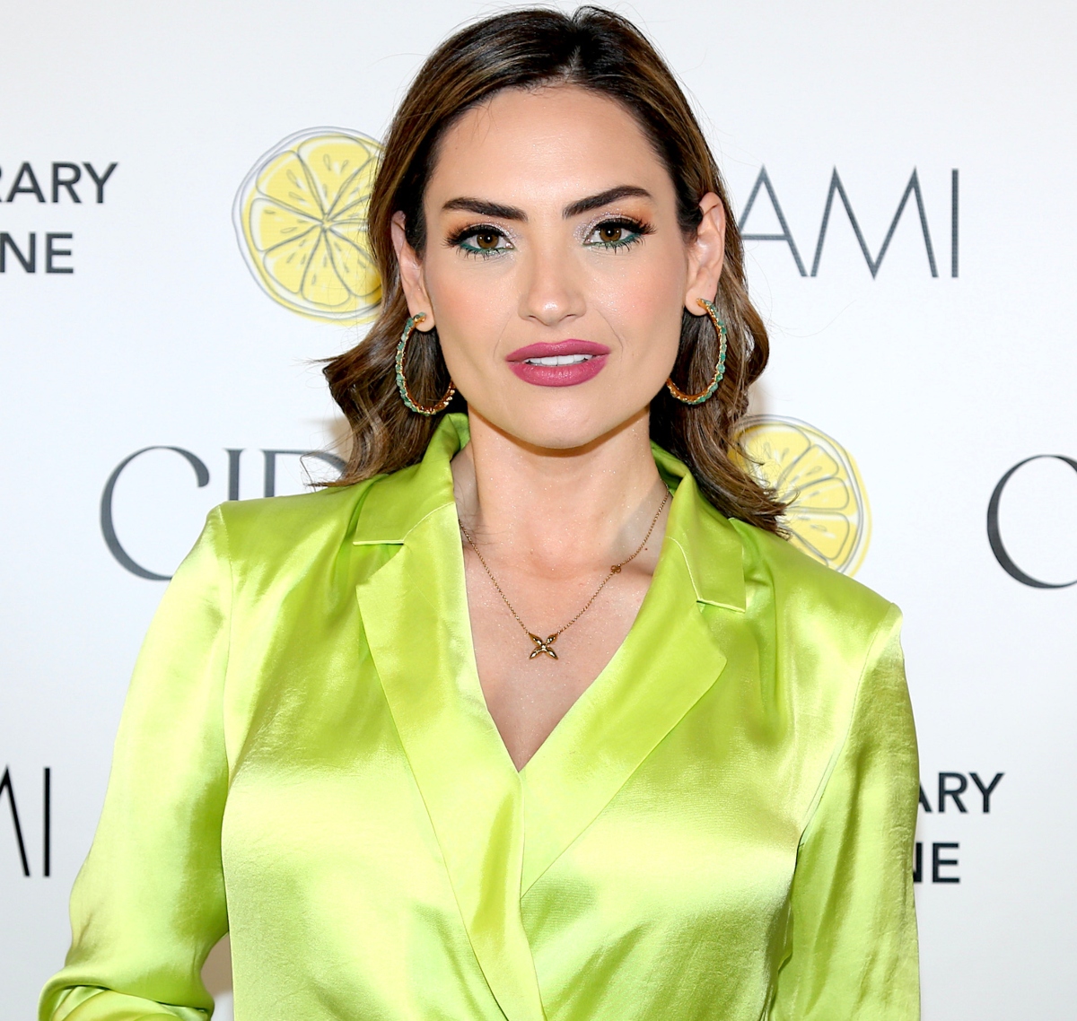 Michelle Galván, divorcio