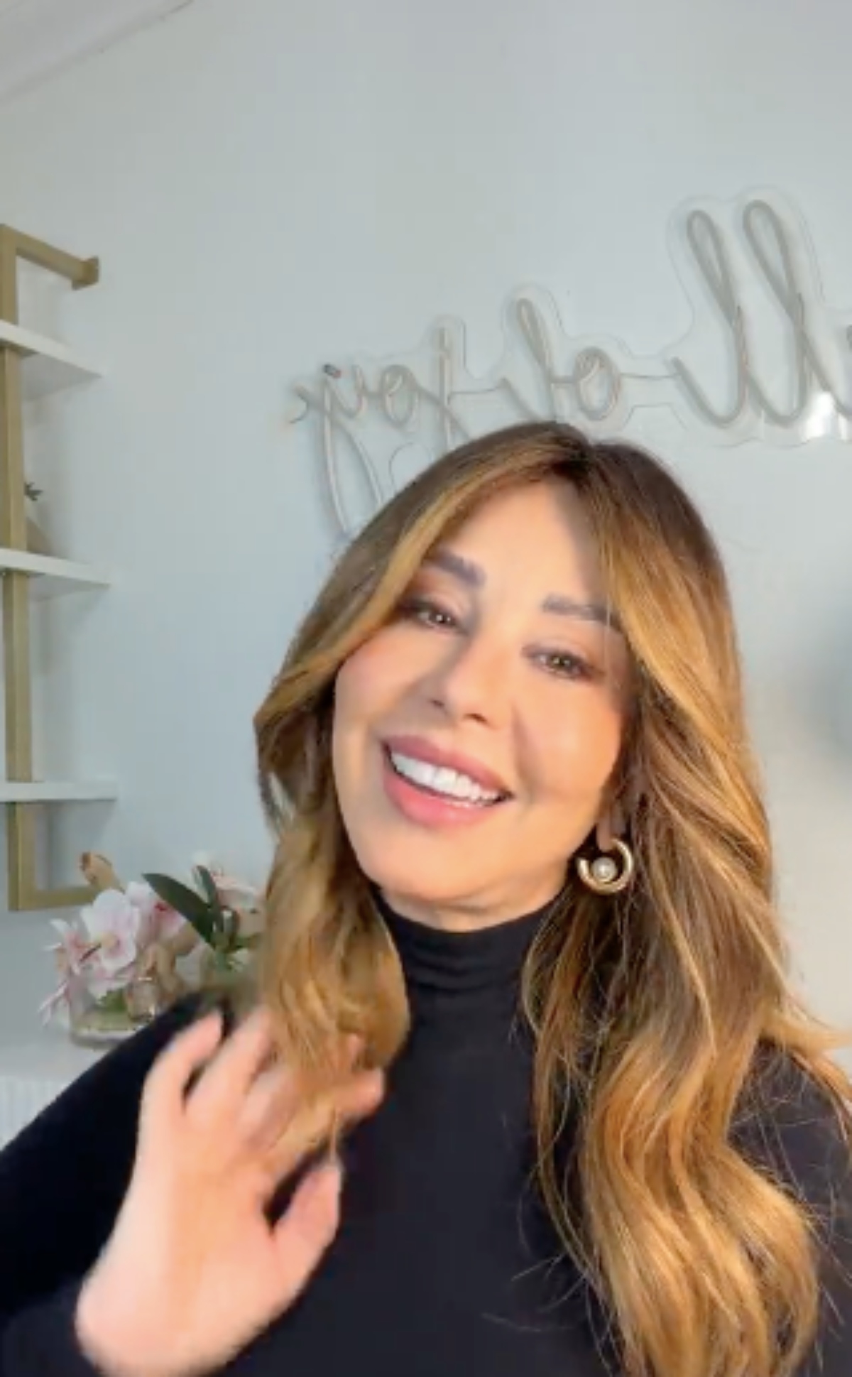 Myrka Dellanos, televisión