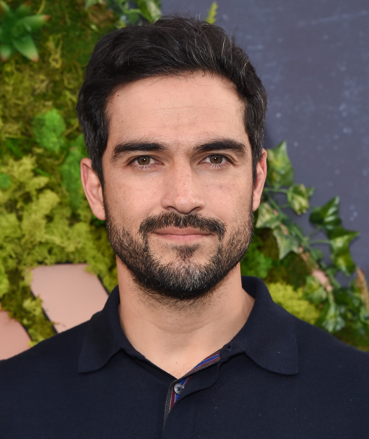 Alfonso Herrera, serie