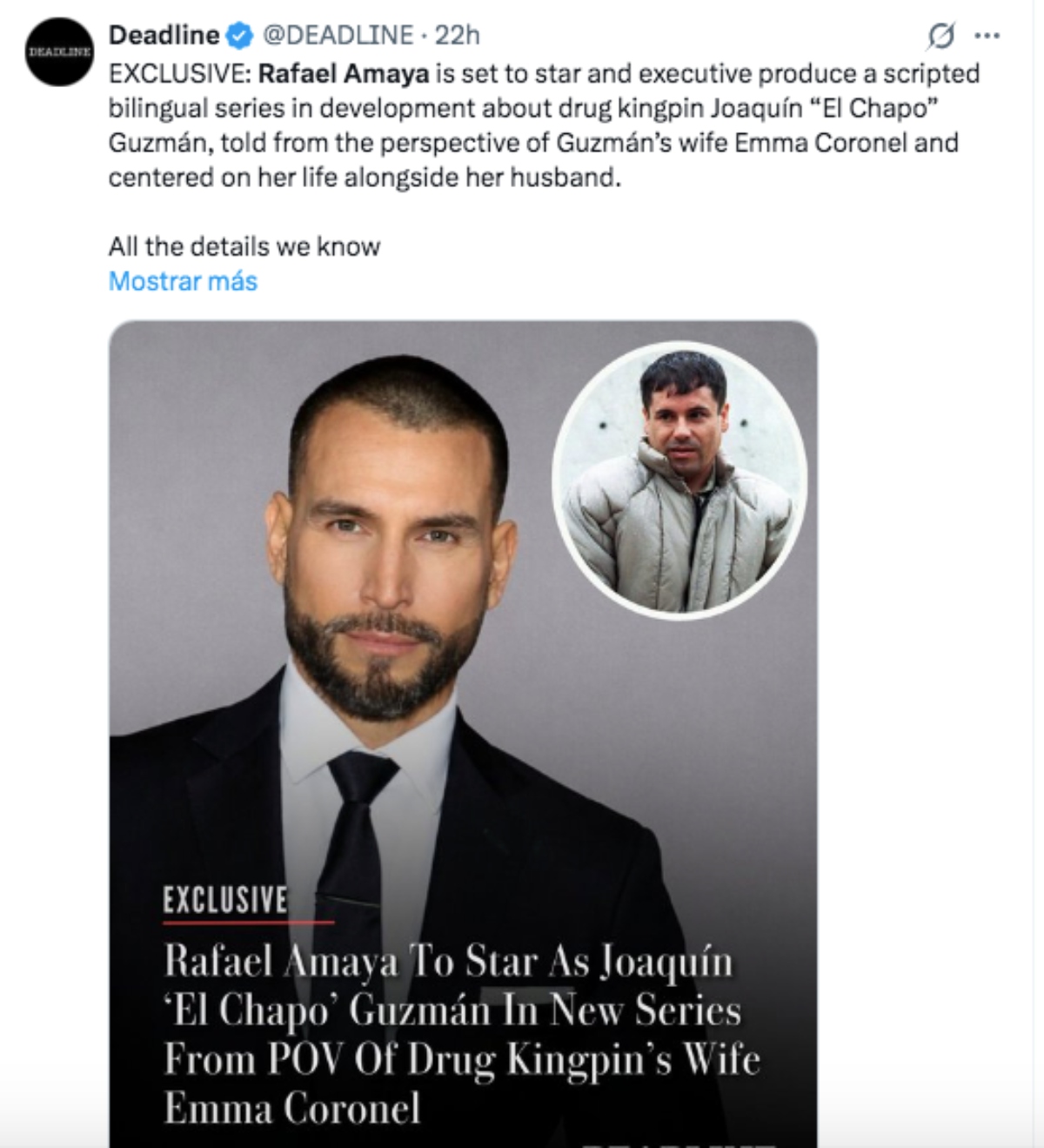 Rafael Amaya Chapo, televisión