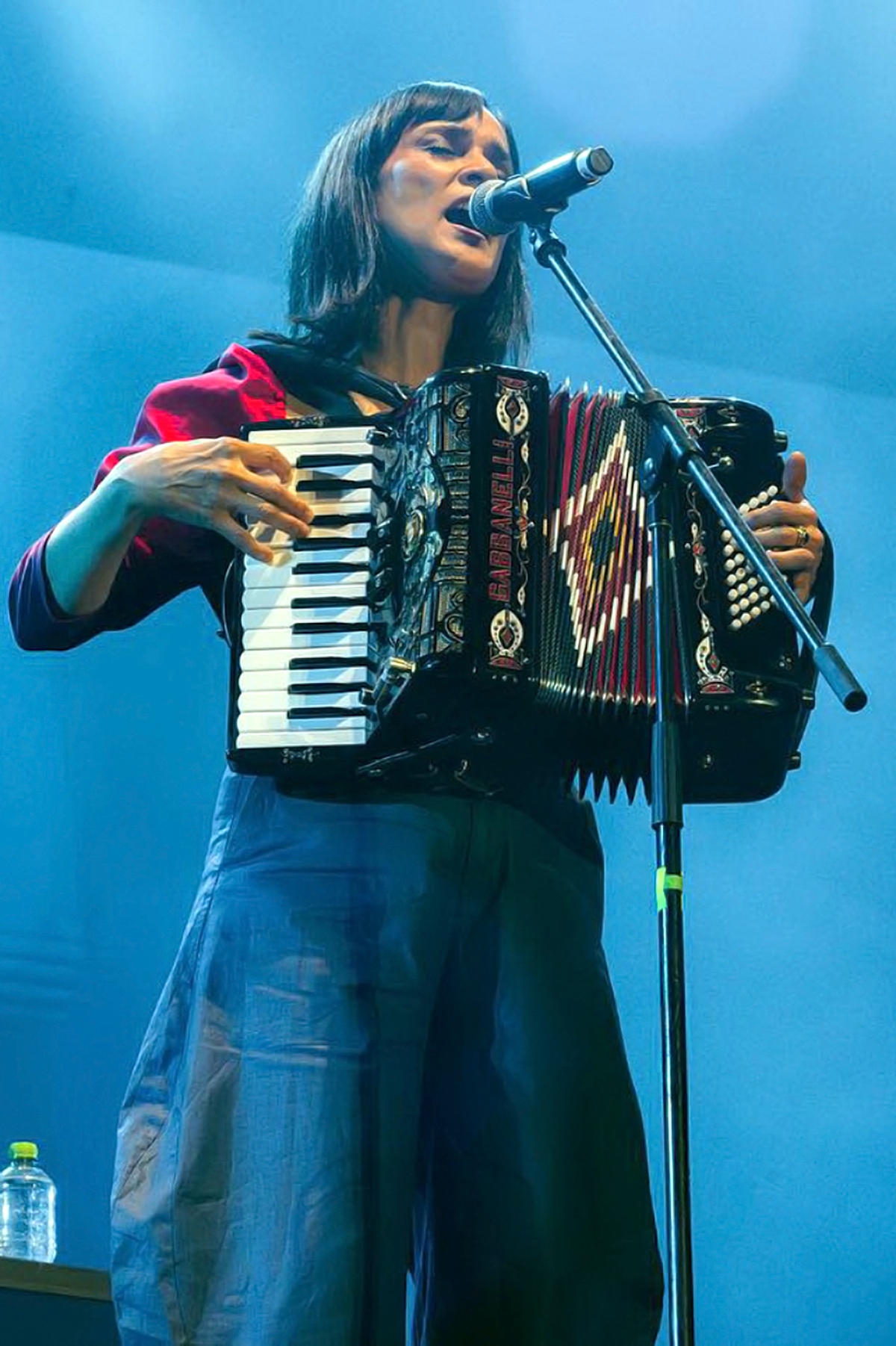 Julieta Venegas