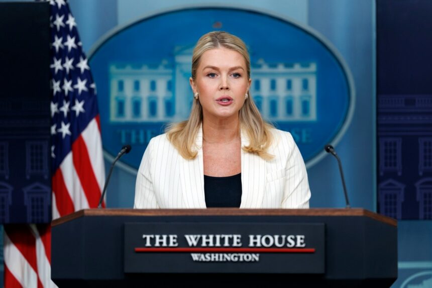 Estados Unidos carteles mexicano, Karoline Leavitt