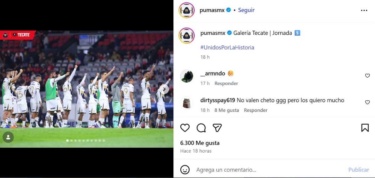 Liga MX, Pumas
