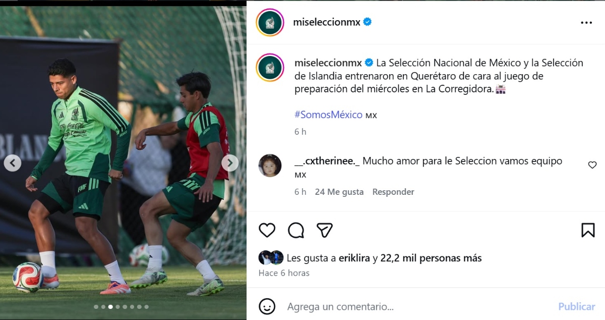 Partido México Islandia