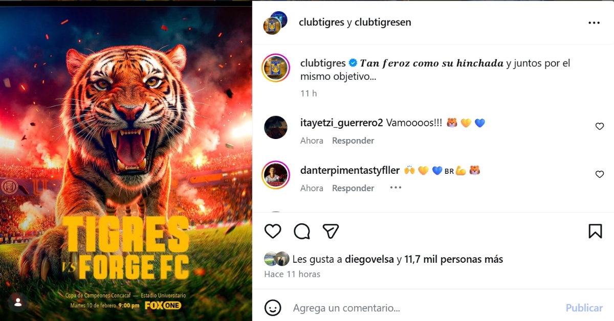 Tigres