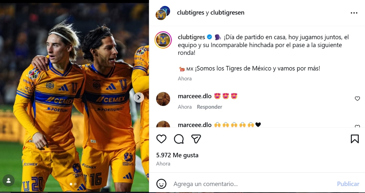 Tigres